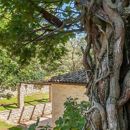 Anneliese Holiday home *