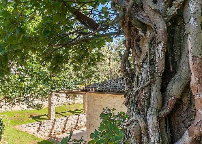 Anneliese Holiday home *